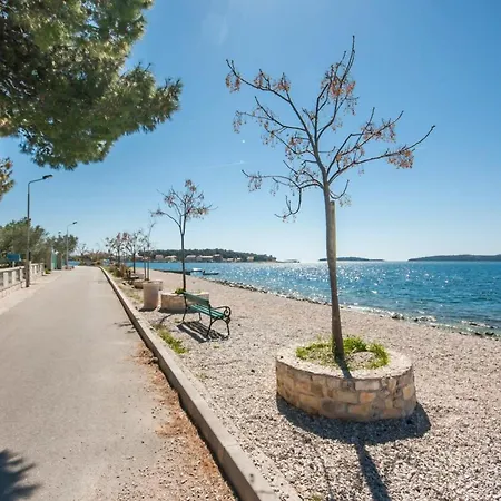 With Terrace And Sea View